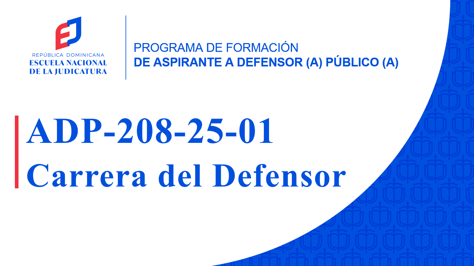 ADP-208-25-01 Asignatura Carrera del Defensor (ADP 2025)