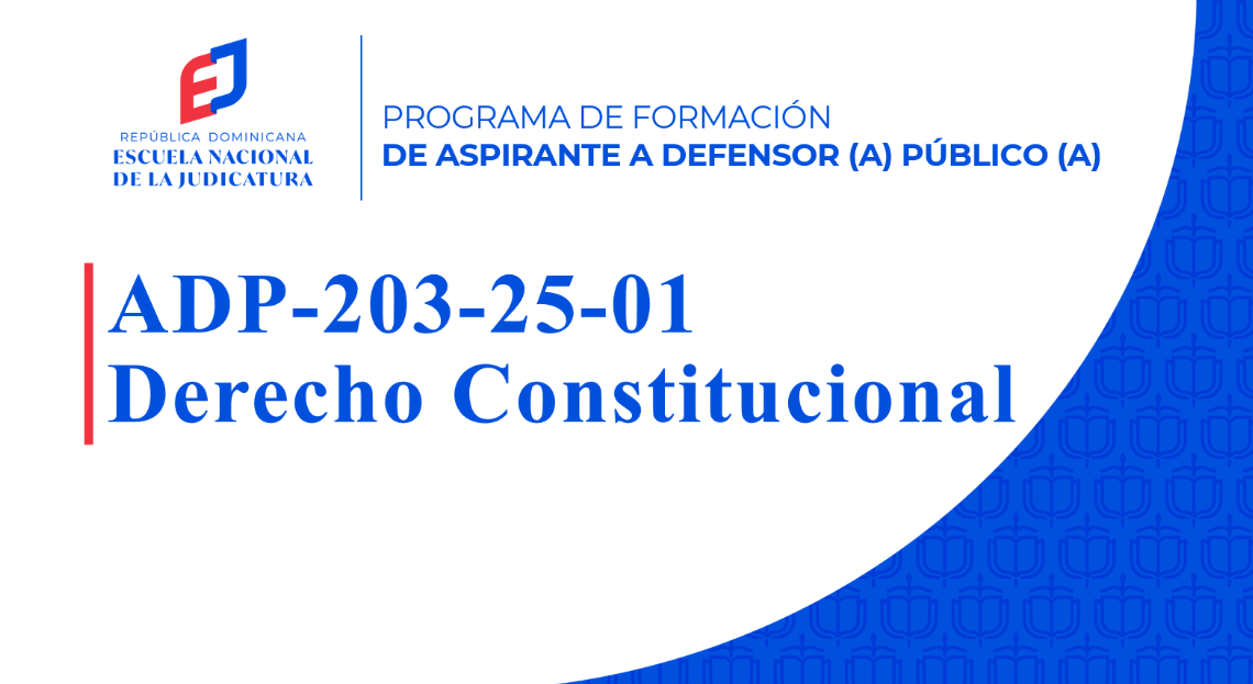 ADP-209-25-01 Asignatura Etapa Intermedia, Audiencia Preliminar y Juicio (ADP 2025)